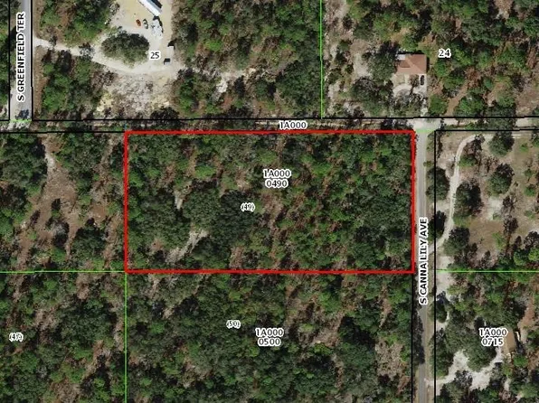 6028 S Canna Lily Ave, Homosassa, FL 34446