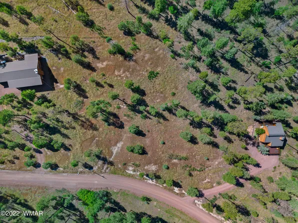 22 County Road 2074, Alpine, AZ 85920