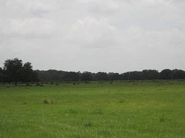 4th image of 251 County Road 665