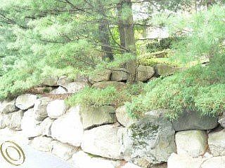 5th image of 1281 Water Cliff Dr