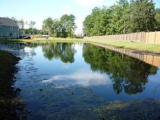 Migratory Pond