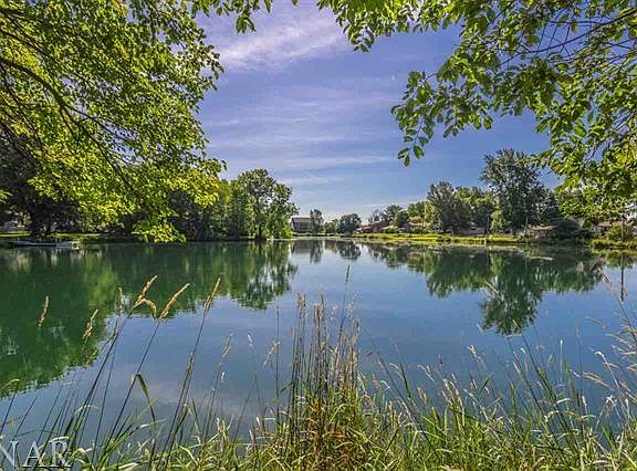 View from Reece Lake levee.