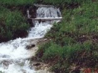 4242 Mill Hollow Rd, Harrison, AR 72601