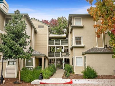 2550 Oak Rd APT 209, Walnut Creek, CA, 94597