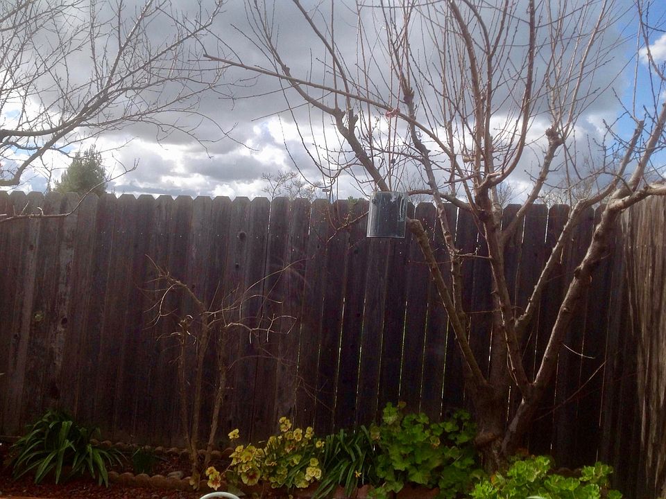 2nd image of 17251 N Tretheway Rd Spc 10