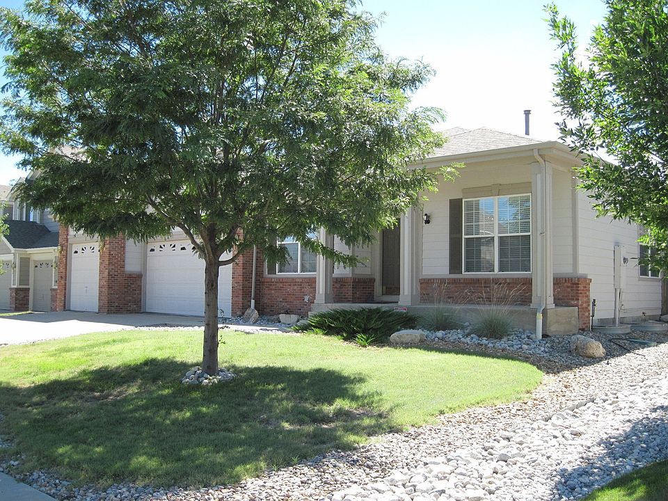 low maintenance yard