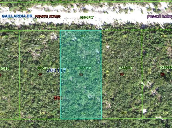 Gallardia Dr Lot 18, Indian Lake Estates, FL 33855