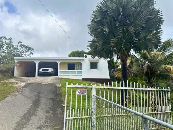 BO MONTONES CARR 917, LAS PIEDRAS, PR 00771