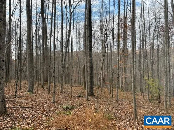 Tm 23 5a Mitchell Mountain Rd, Haywood, VA 22722