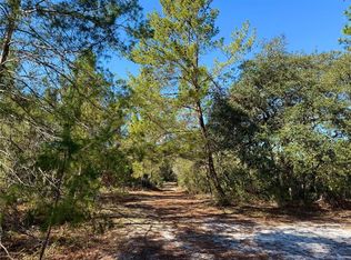 40001 Maggie Jones Rd, Paisley, FL 32767