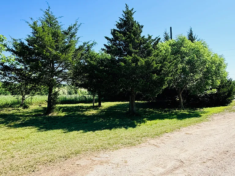 18282 County Road 949 — Photo 11