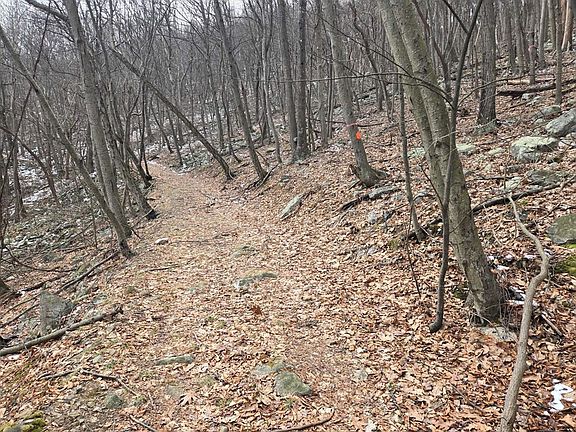 5th image of 0 Laurel Mountain Rd