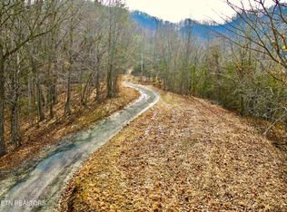 Rufus Coffey Ln, Thorn Hill, TN 37881