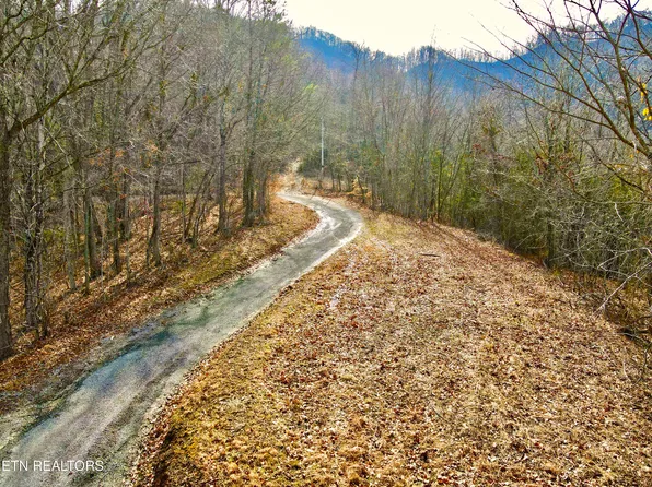 Rufus Coffey Ln, Thorn Hill, TN 37881