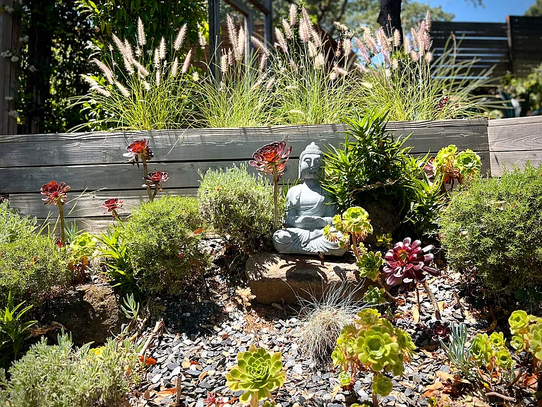 Side yard