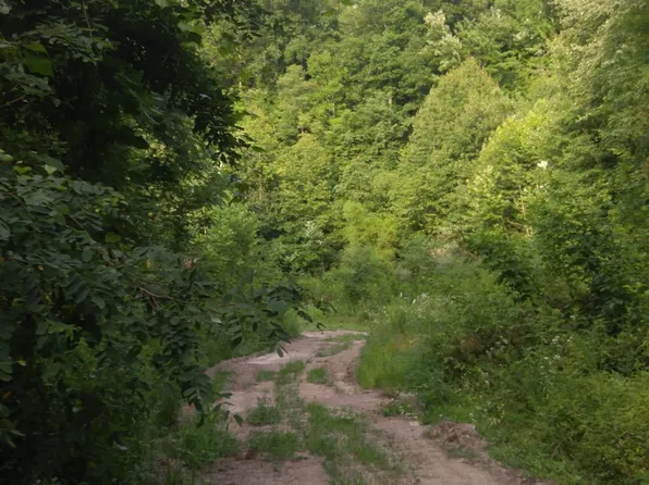 2530 Mills Creek Rd, Flat Lick, KY 40935