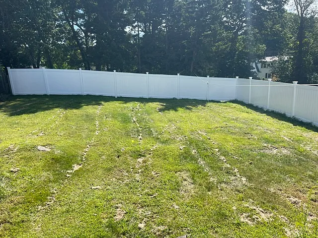2 bed, 800 sqft, $3,000 — Photo 2