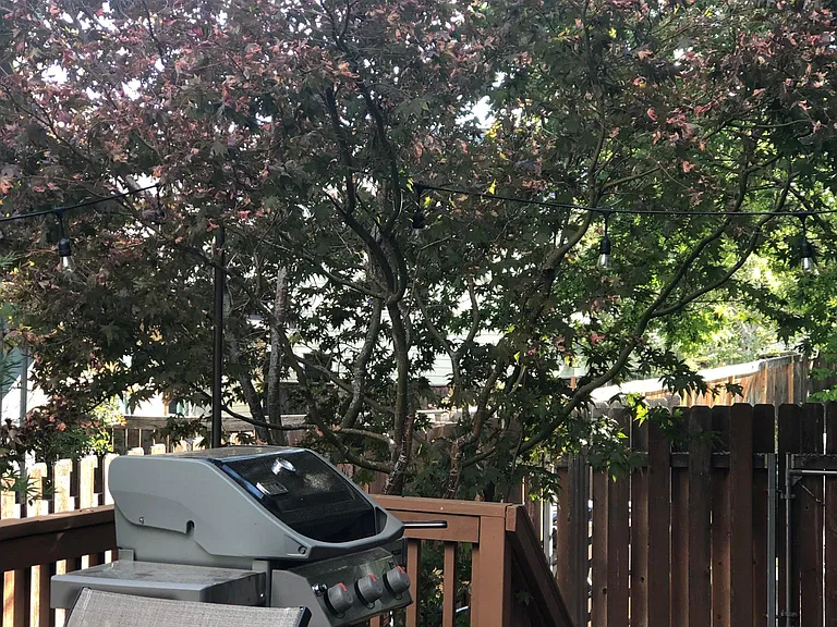 3100 Hazel Ave — Photo 4