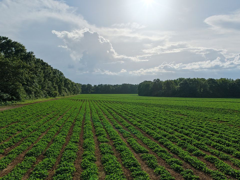 1st image of 0 N County Road 49