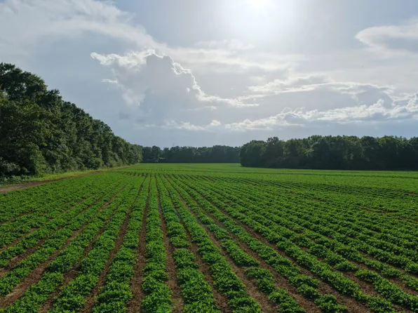 0 N County Road 49, Malvern, AL 36349