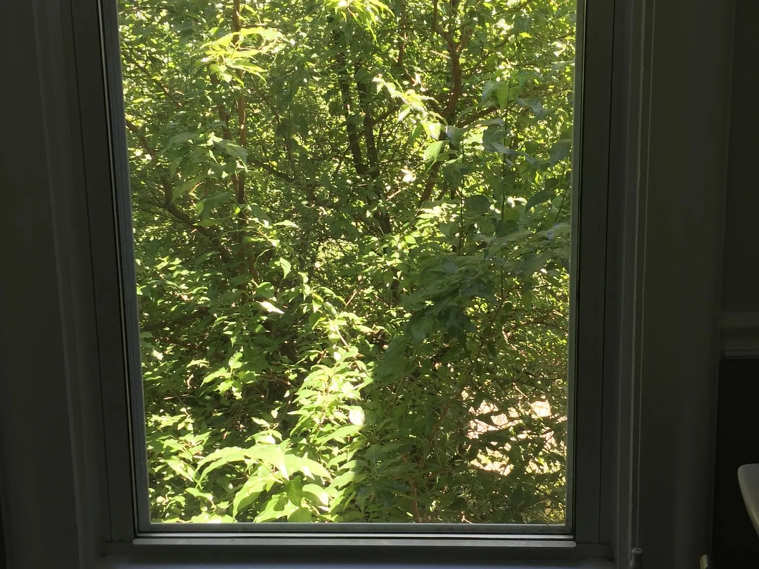 2 bed, 1.5 bath, 1500 sqft, $2,500 — Photo 4