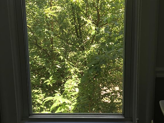 serene view from one of the bedrooms