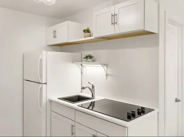 900 E Hopkins Ave, Aspen, CO