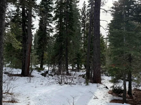 7464 Lily Ave, Tahoe Vista, CA 96148