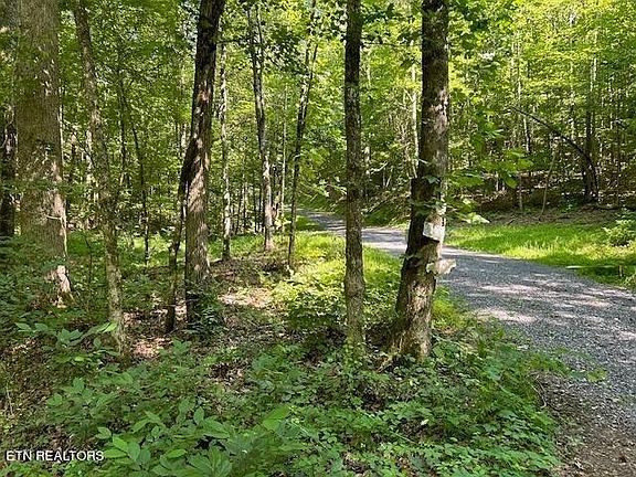 4th image of 4 Owl Hollow Trl SW Lot 4