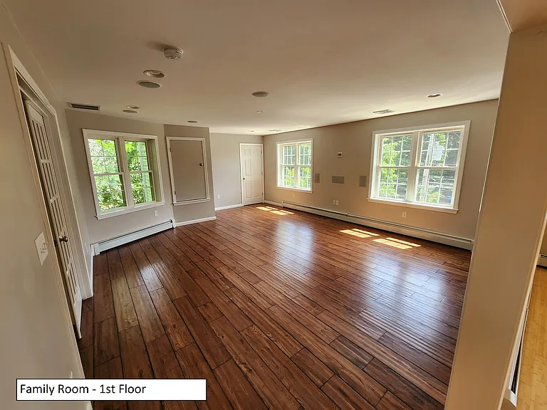 Family room. Office entry on left. Media closet straight ahead. Wall between windows wired back to media closet. In-wall/ceiling speakers.