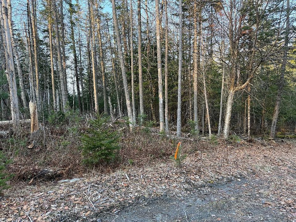 2nd image of 0 Chamberlain Rd