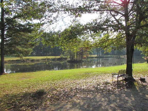 View from home to pond