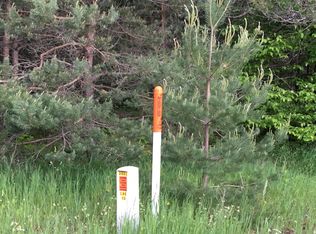 Olds Road 40 Acres, Elmira, MI 49730