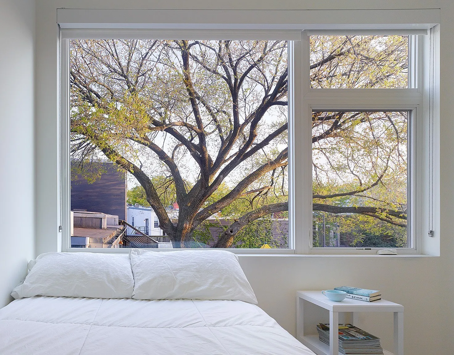 4 bed, $1,599 — Photo 2