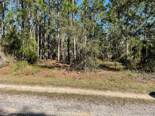 Lots 16 & 17 Southeast Ct #130, Dunnellon, FL 34431