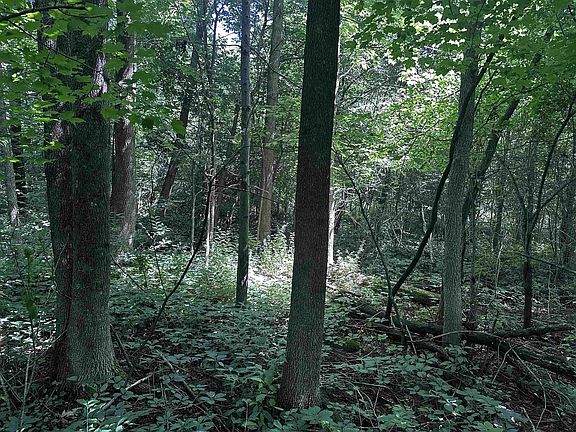 4th image of 03 ACORN DRIVE