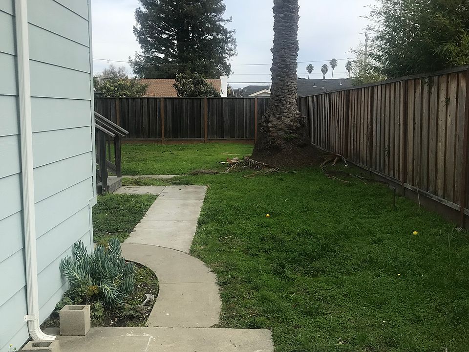 Another backyard view