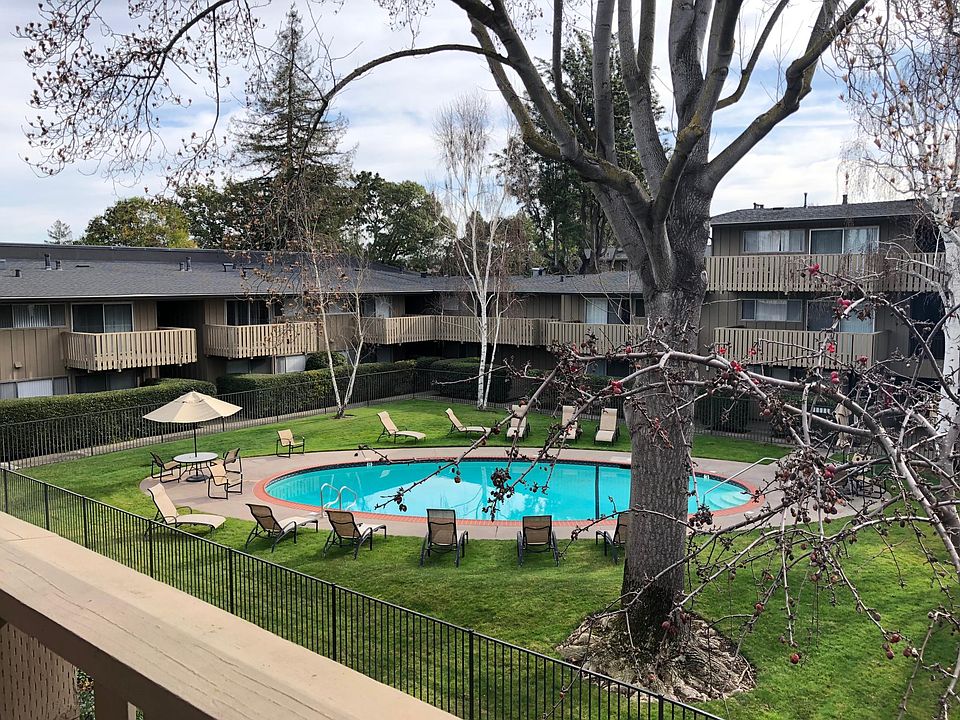 View from patio