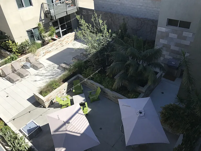 Olea — Photo 9
