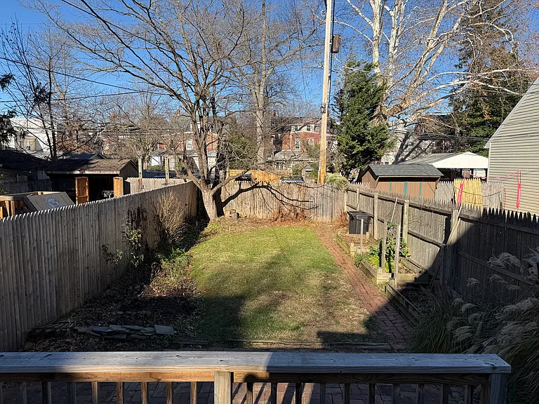 Backyard