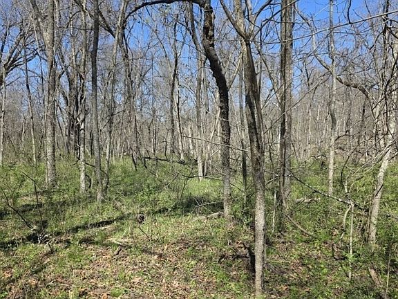 5th image of Geronimo Springs Rd