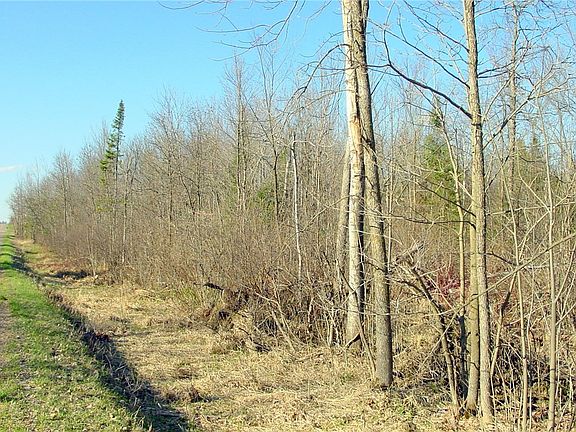 4th image of 20  Acres on Cloverland Road