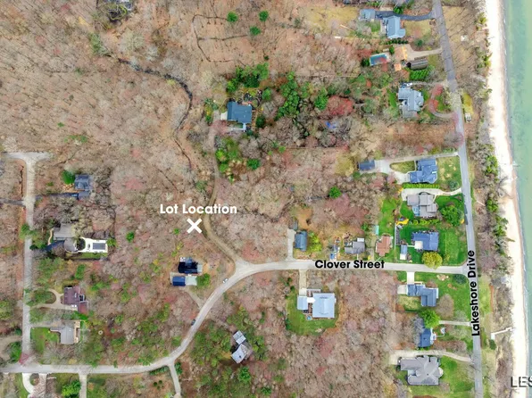 10 Collins Wooded Acres, Fennville, MI 49408