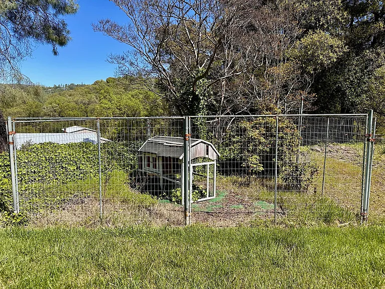 16107 Bitney Springs Rd — Photo 39