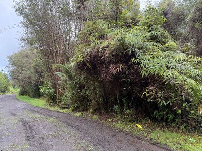 Waikiki St Lot 5, Mountain View, HI, 96771