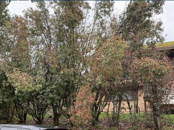 3rd image of 692 SW 4th St