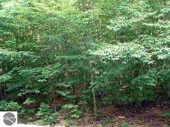 3rd image of LOT 42 Heideldorf Dr