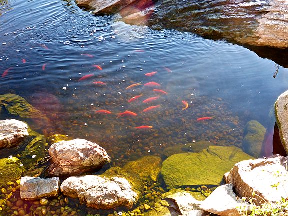 Bottom of water feature 
