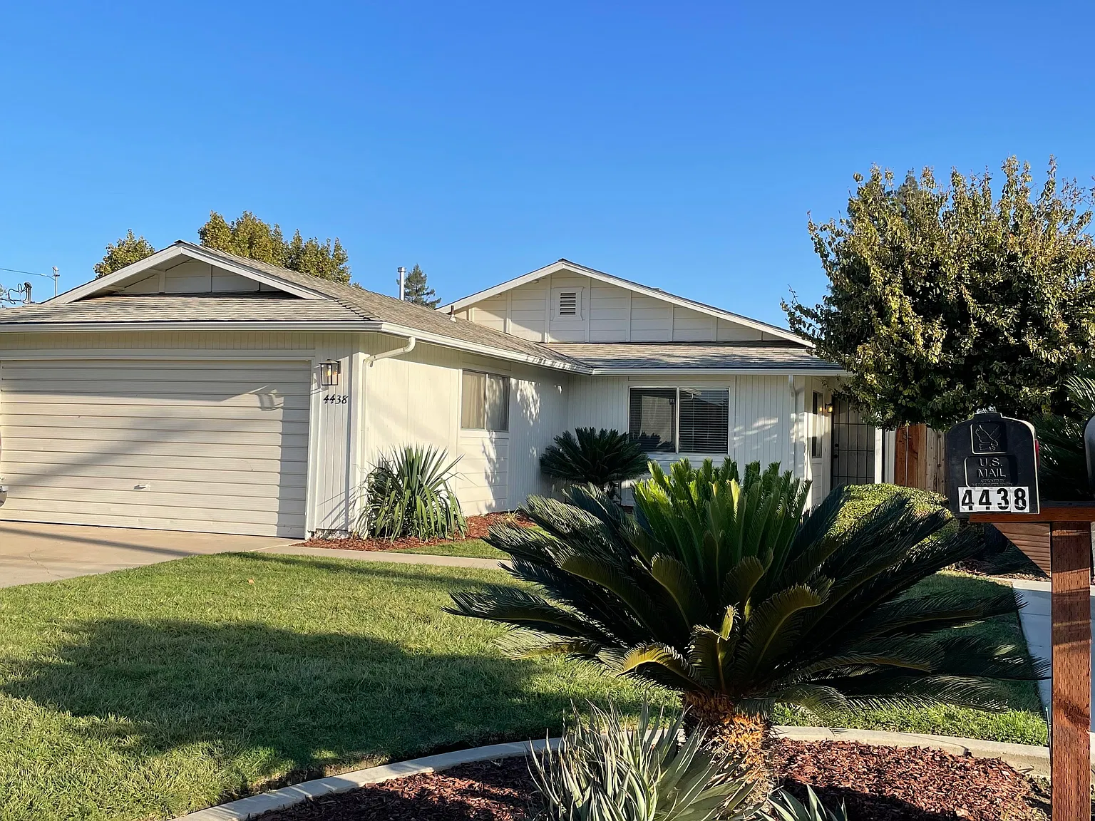 3 bed, 1156 sqft, $2,000 — Photo 3