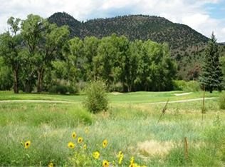 10 Riviere Rd, South Fork, CO 81154